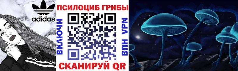 ОМГ ОМГ онион  Белово  Псилоцибиновые грибы Psilocybine cubensis 